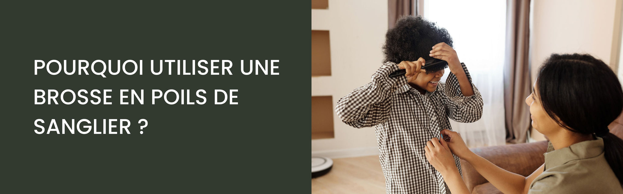 Brosse poils de sanglier