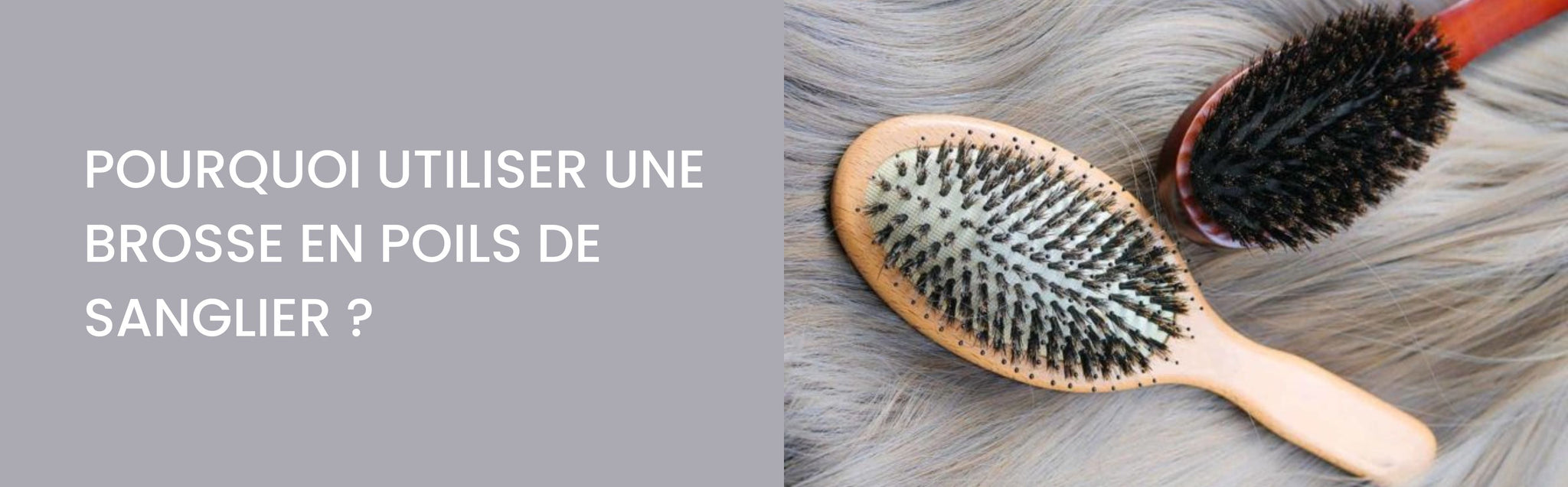 brosse poils de sanglier
